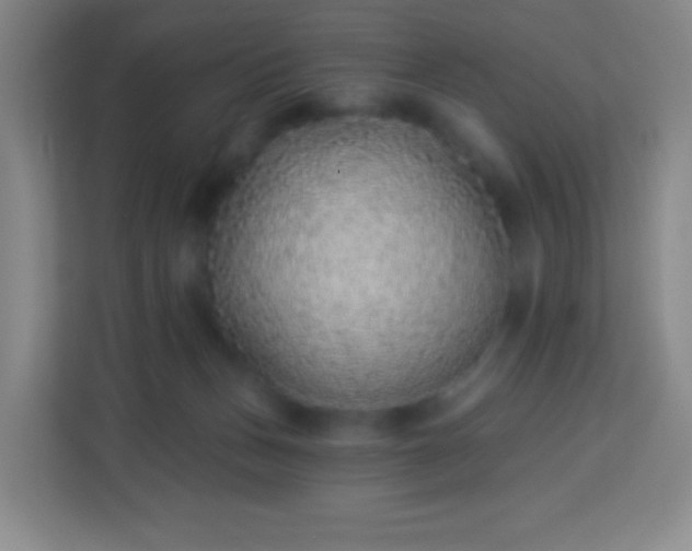 X0000113940175200910091630