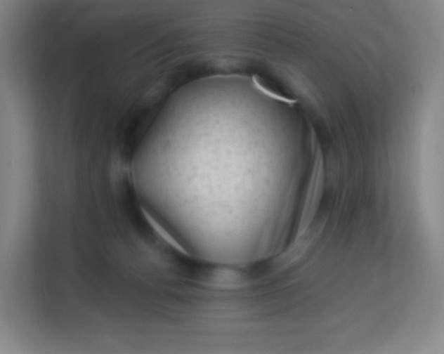 X0000113940176200910091630