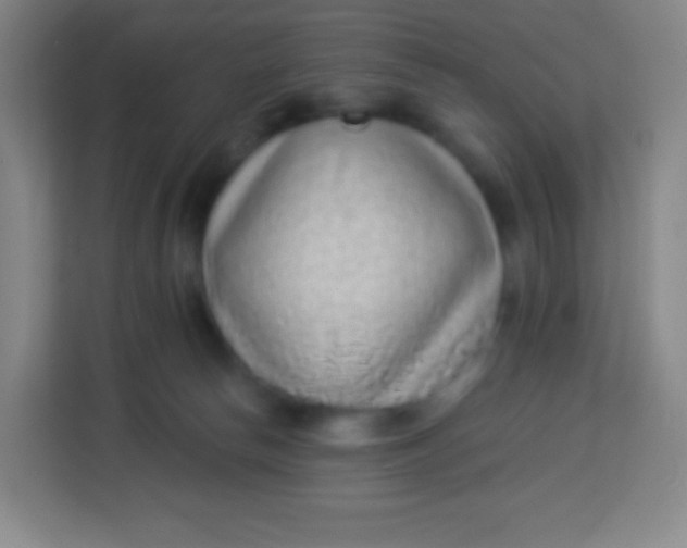 X0000113940178200910091630