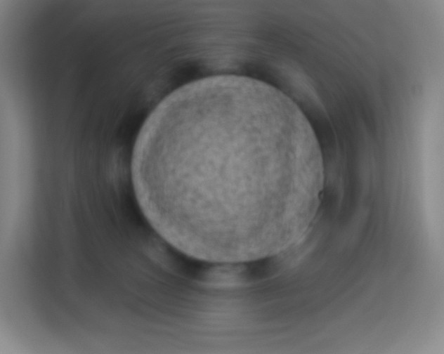 X0000113940179200910091630