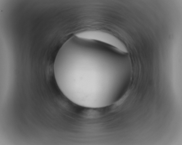 X0000113940180200910091630