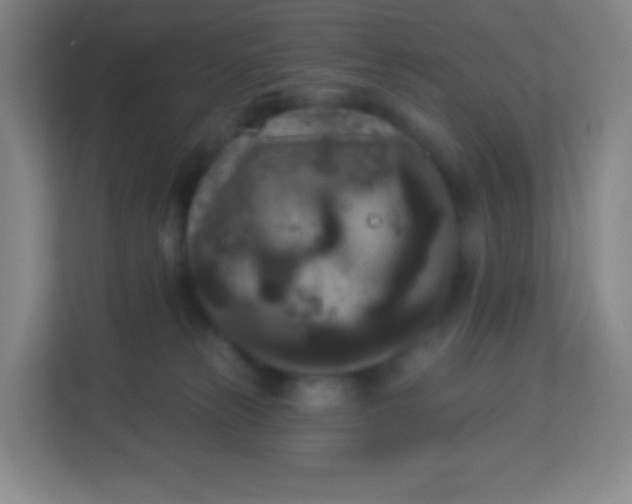 X0000113940181200910091630