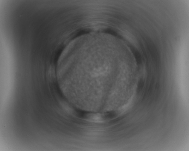 X0000113940182200910091630