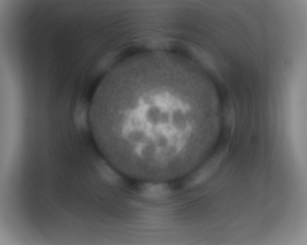 X0000113940185200910091630