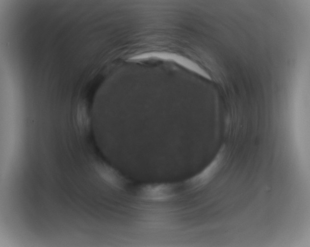 X0000113940186200910091630