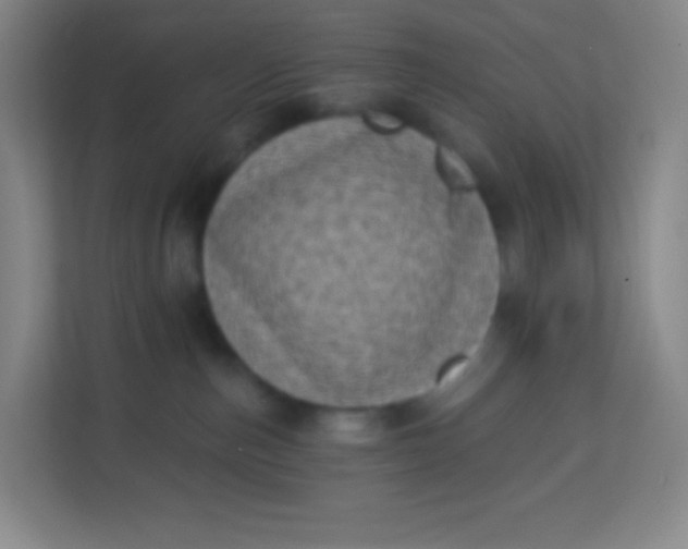 X0000113940187200910091630