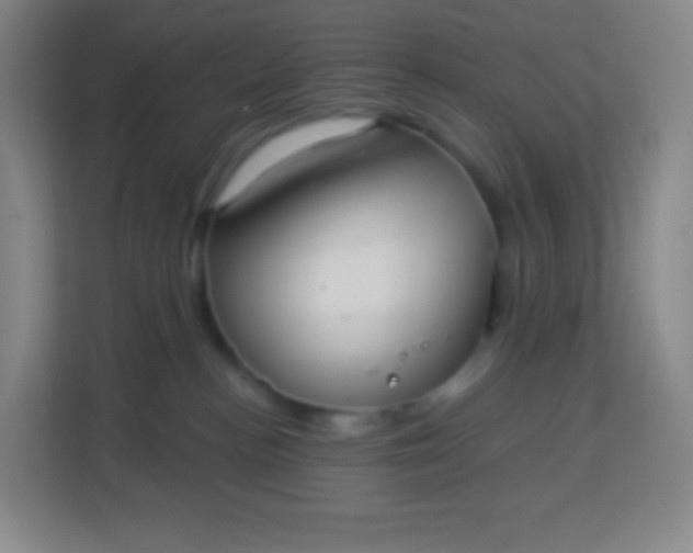 X0000113940188200910091630