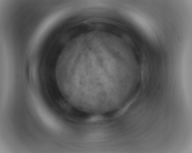 X0000113940189200910091630