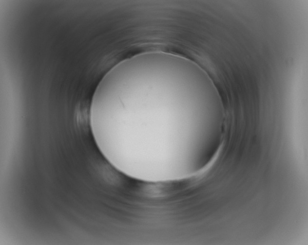 X0000113940190200910091630