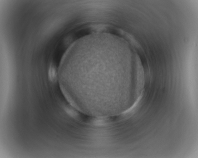 X0000113940191200910091630