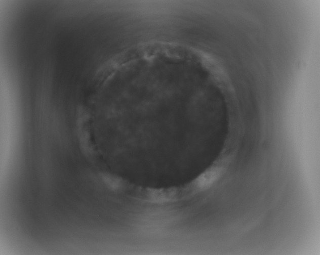 X0000113940192200910091630