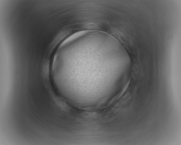 X0000113940194200910091630