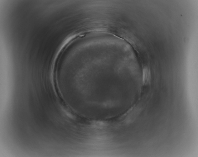 X0000113940195200910091629