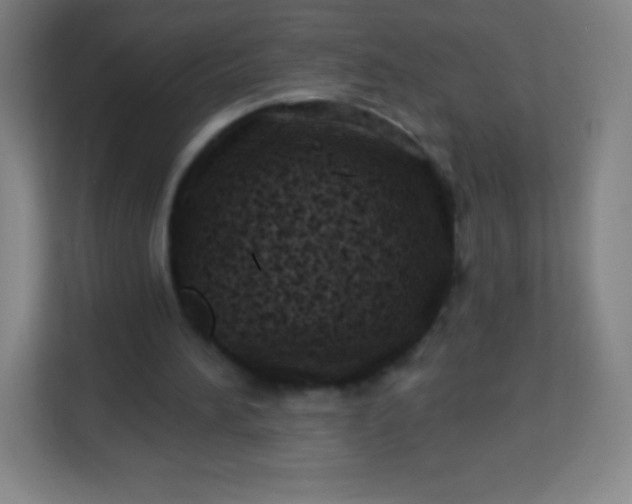 X0000113940196200910091629