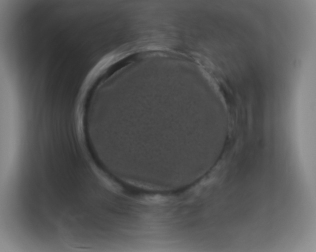 X0000113940197200910091629