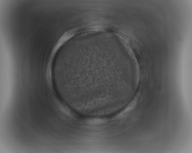 X0000113940198200910091629