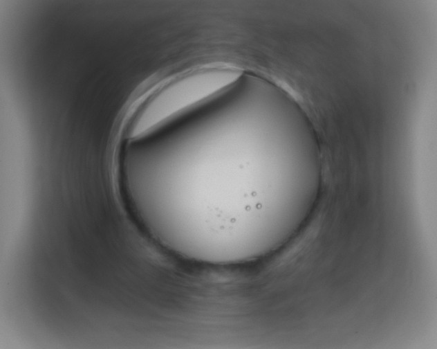 X0000113940199200910091629