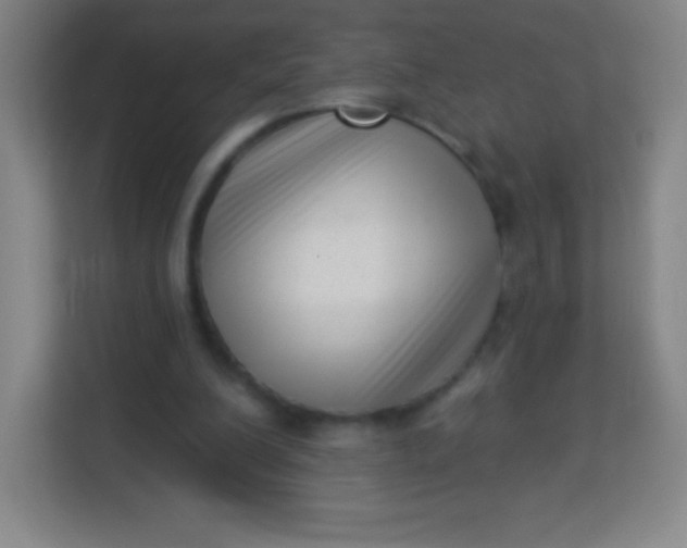 X0000113940200200910091629