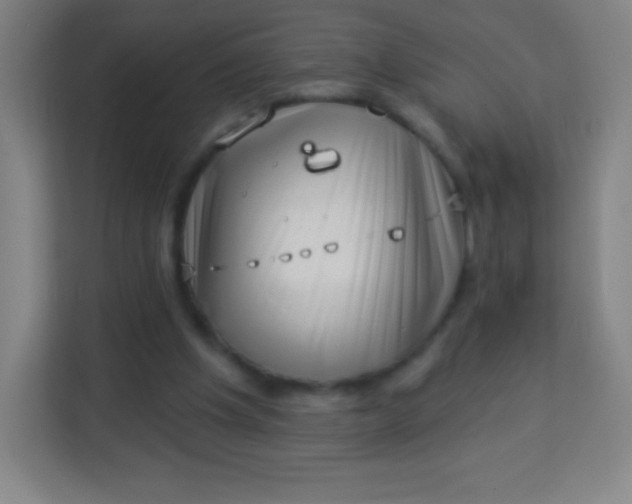 X0000113940201200910091629