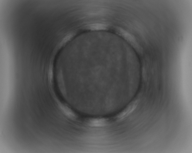 X0000113940202200910091629