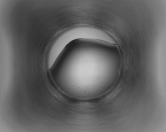 X0000113940203200910091629