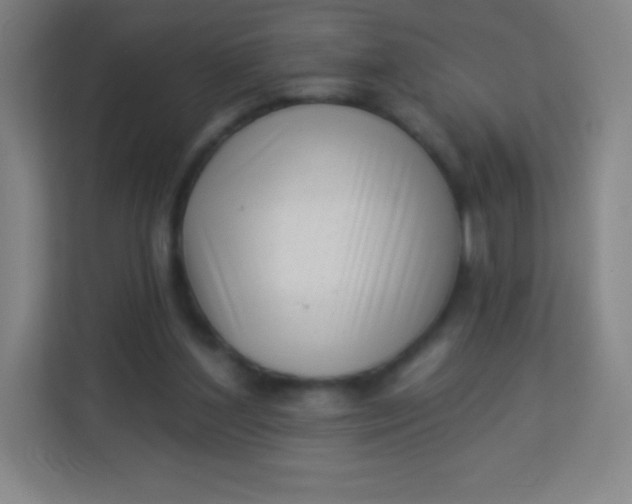 X0000113940204200910091629