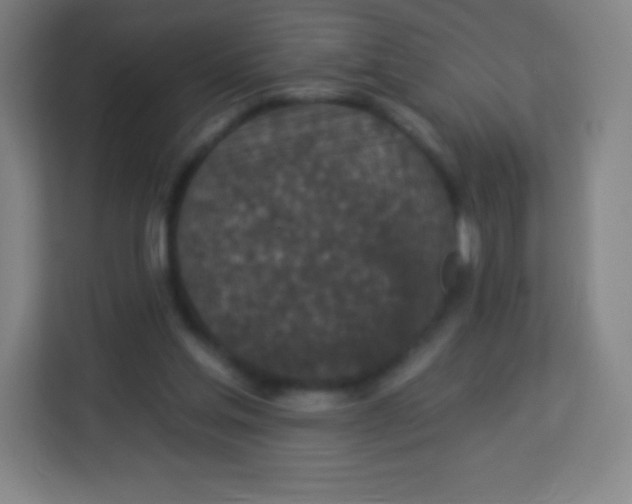 X0000113940205200910091629