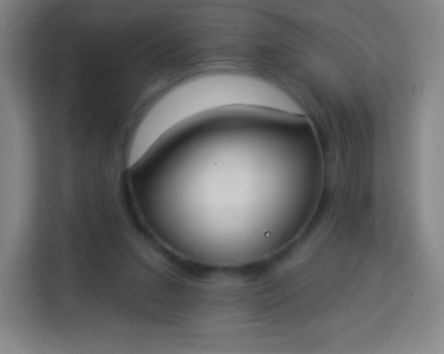 X0000113940207200910091629