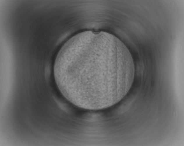 X0000113940208200910091629