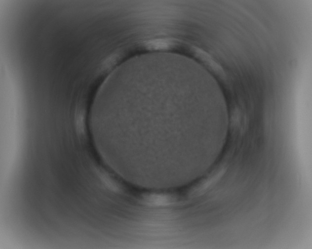 X0000113940209200910091629