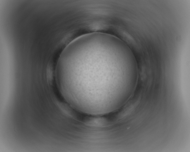 X0000113940210200910091629