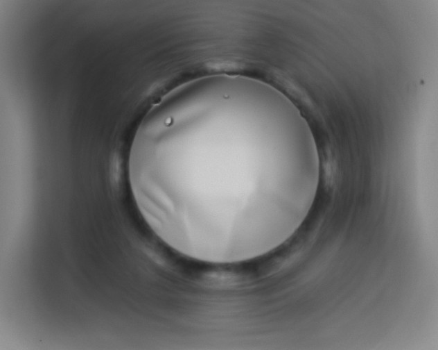 X0000113940211200910091629