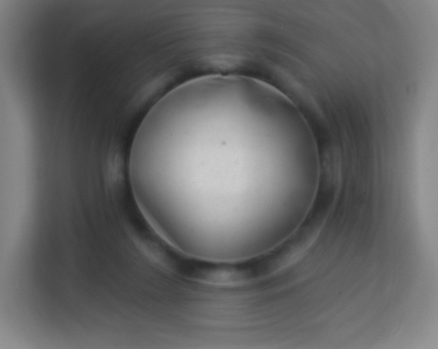 X0000113940212200910091629