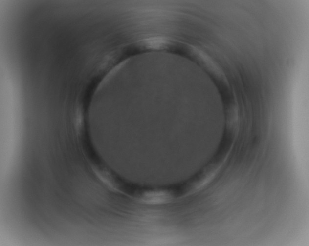 X0000113940213200910091629