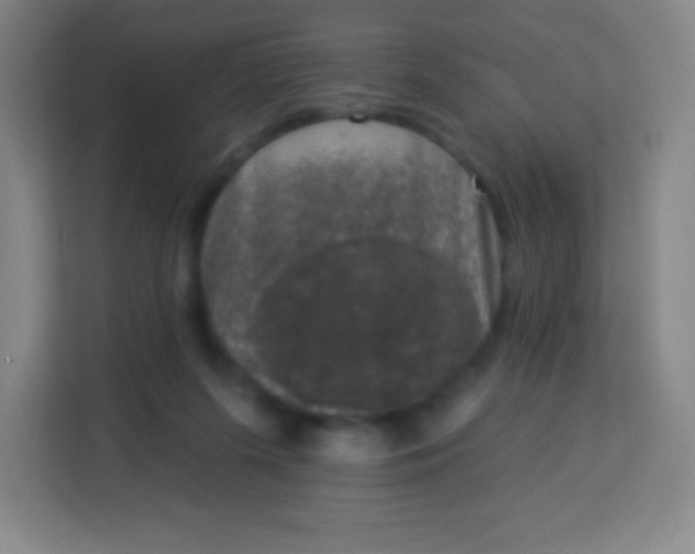 X0000113940215200910091629