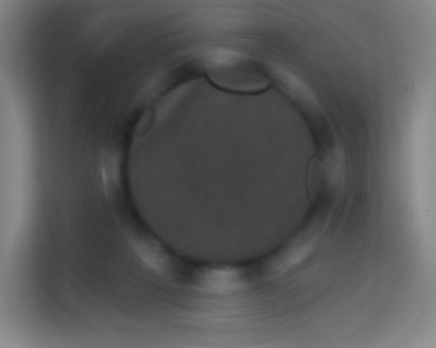 X0000113940217200910091629