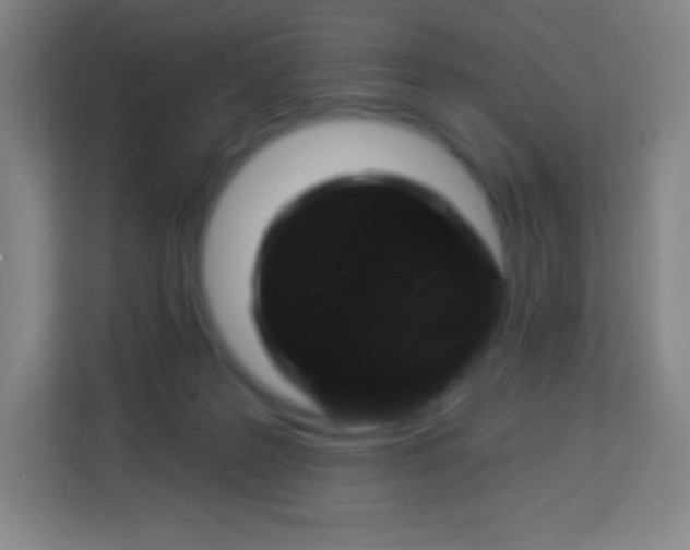 X0000113940219200910091629