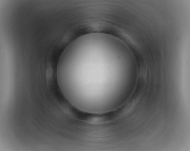 X0000113940220200910091629