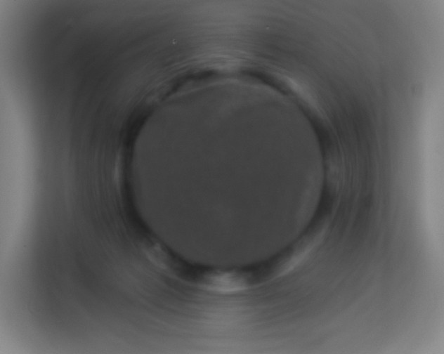 X0000113940221200910091629