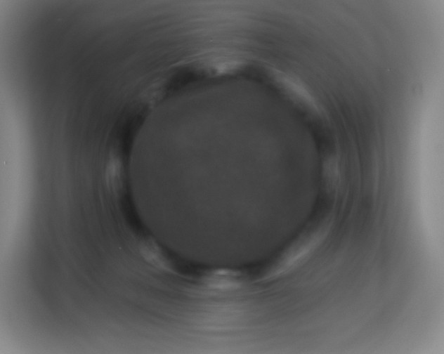 X0000113940222200910091629