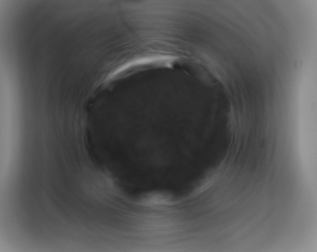 X0000113940223200910091629