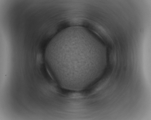 X0000113940224200910091629