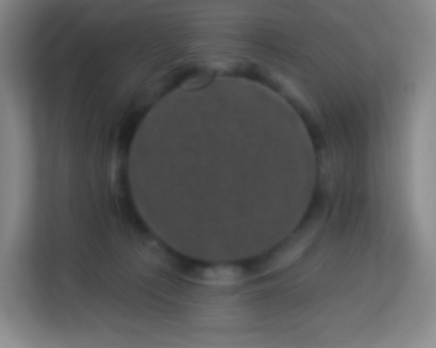 X0000113940225200910091629