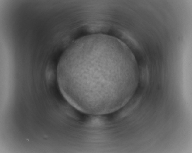 X0000113940226200910091629