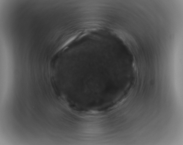 X0000113940227200910091629