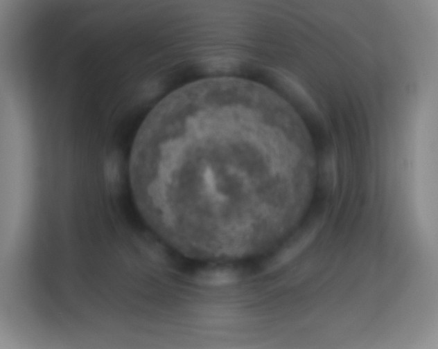 X0000113940228200910091629