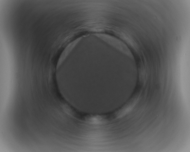 X0000113940229200910091629