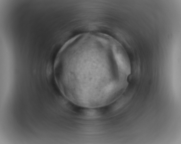 X0000113940230200910091629