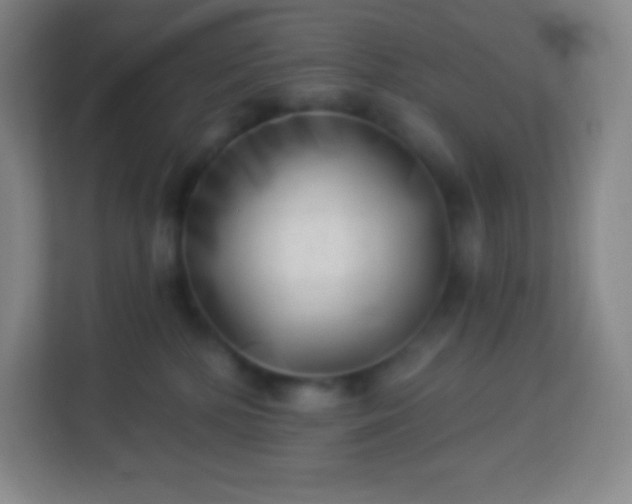 X0000113940232200910091629