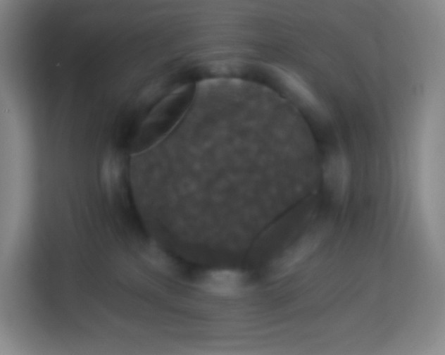 X0000113940233200910091629